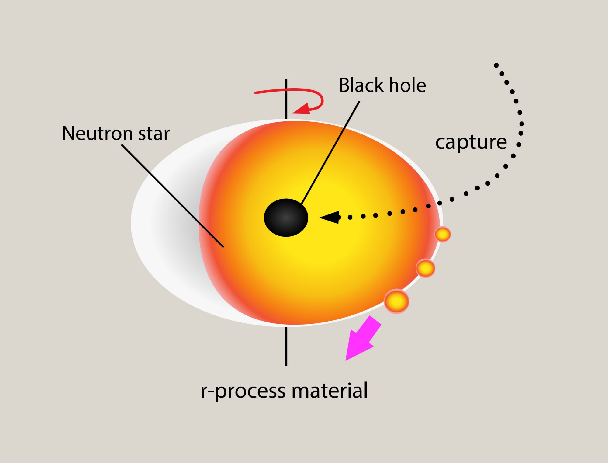 Neutronenstern Schwarzes Loch